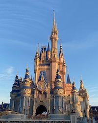 Disney Travel Insurance