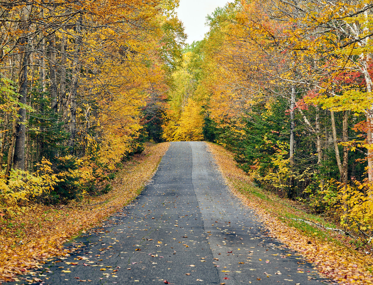 Maine in November