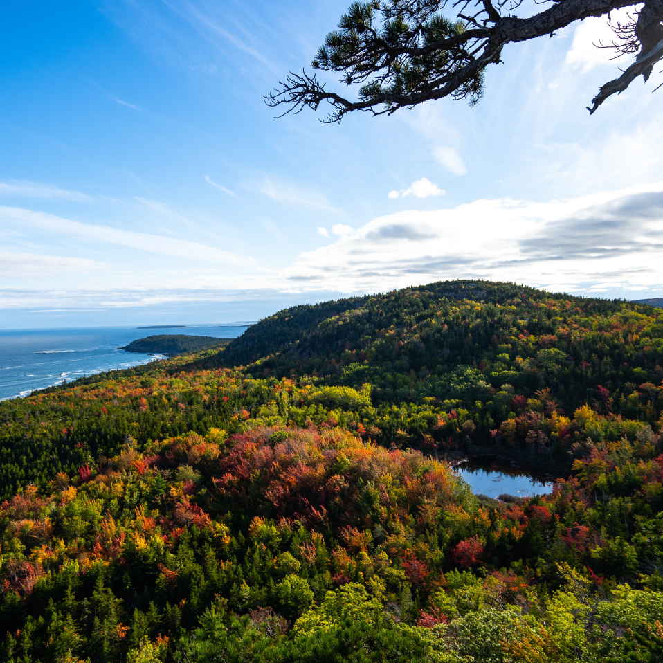 Bar Harbor Maine Fall Foliage