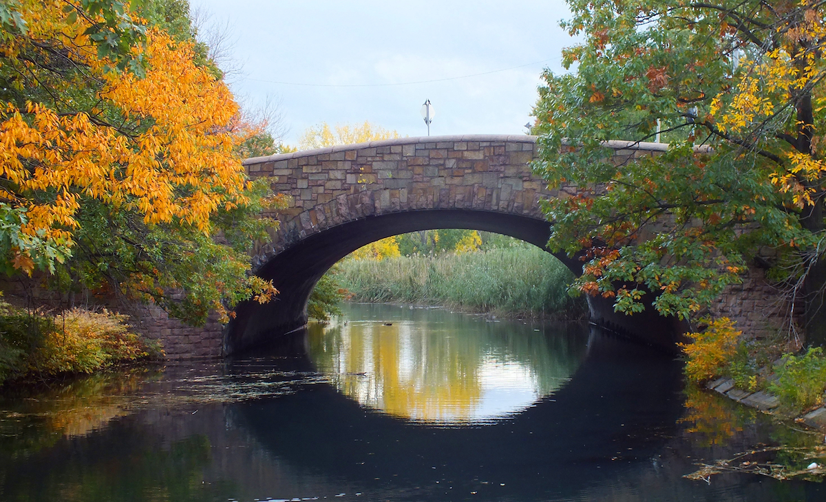 Where to Find the Best Fall Foliage