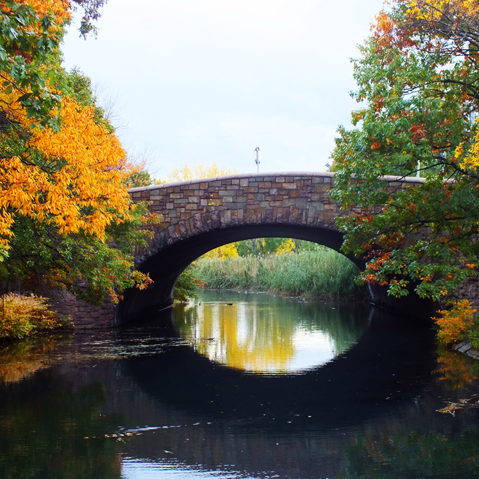 Leaf Peeping in Massachusetts