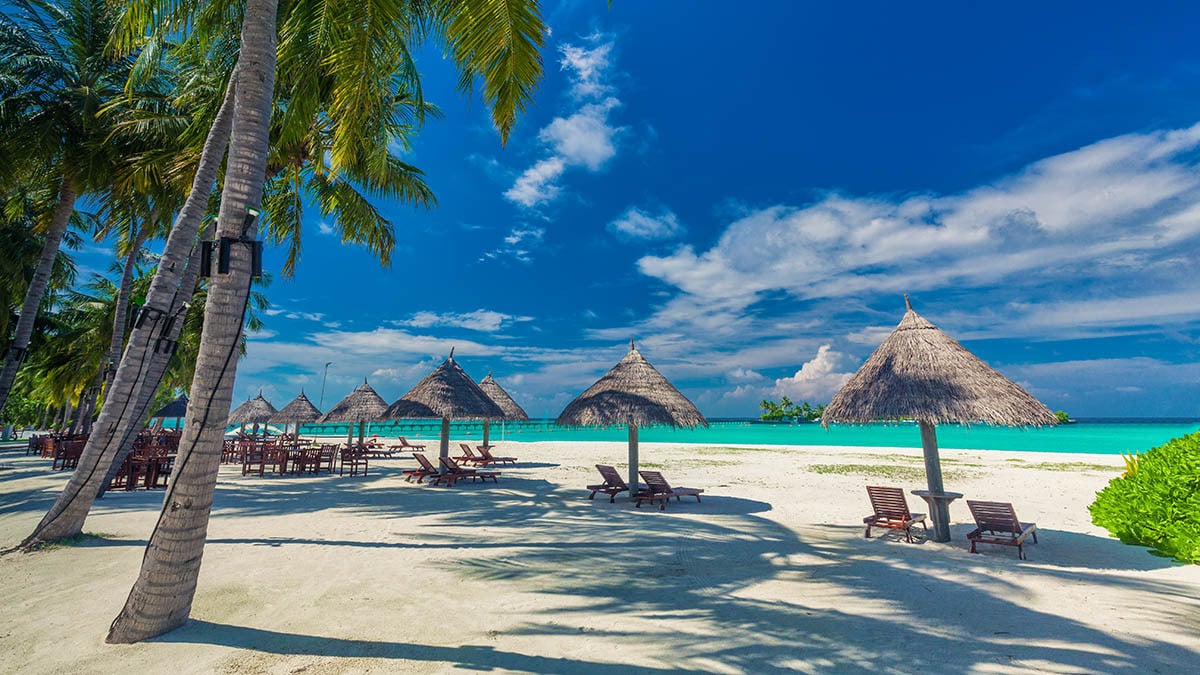 maldives travel insurance cost