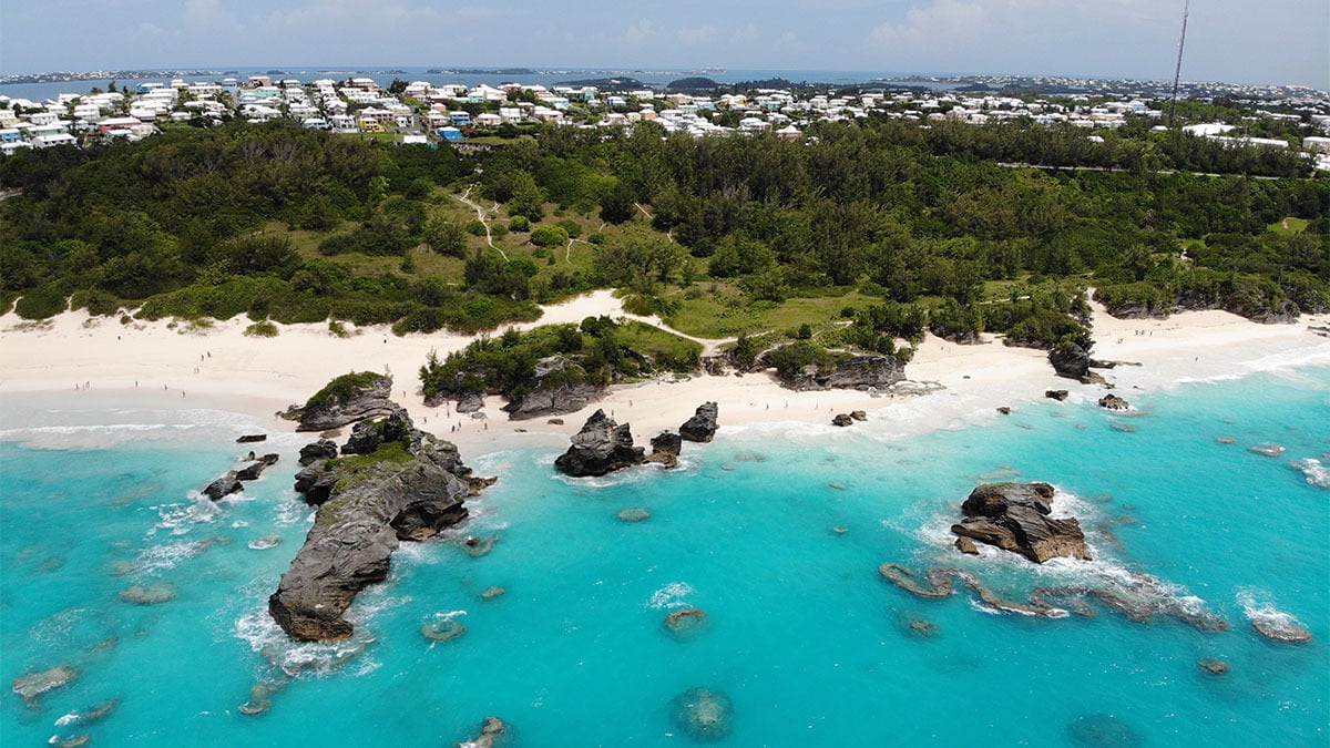 can a newfoundland live in niue