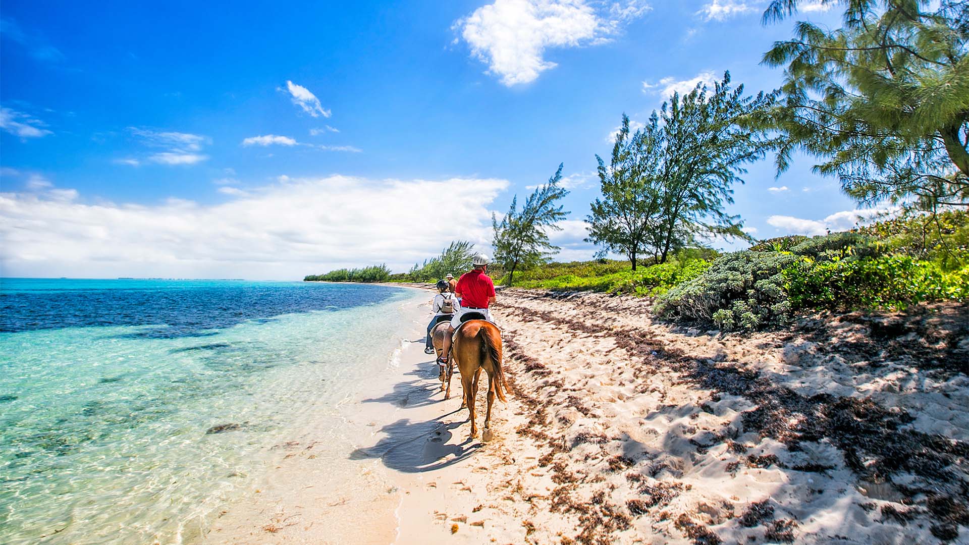 cayman islands tourism authority