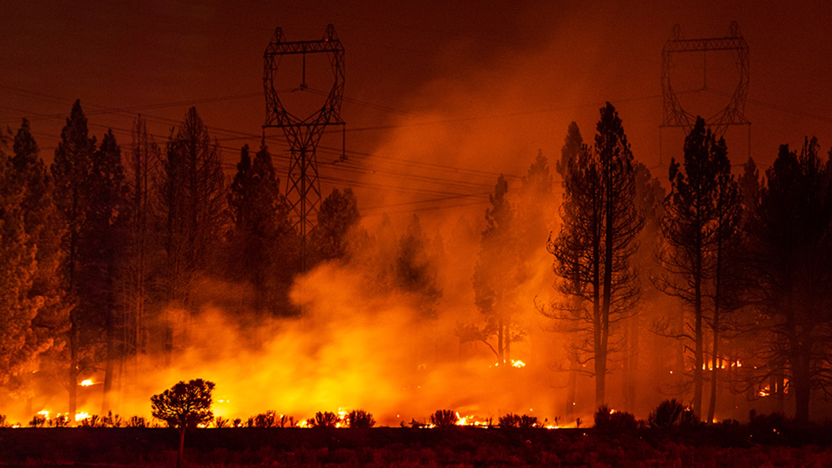 Traveling Wildfire