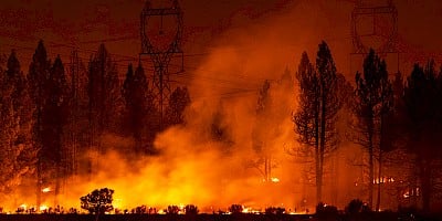 How Travel Insurance Applies to Wildfires